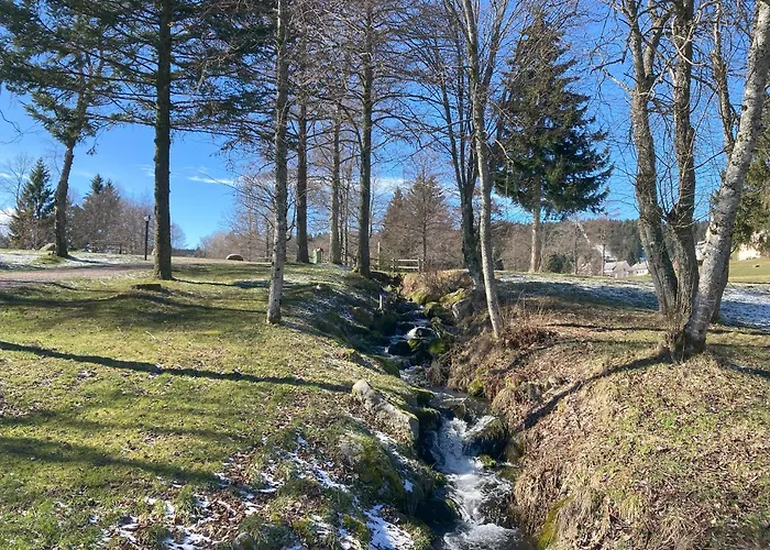 Lägenhet Henri Schönwalde